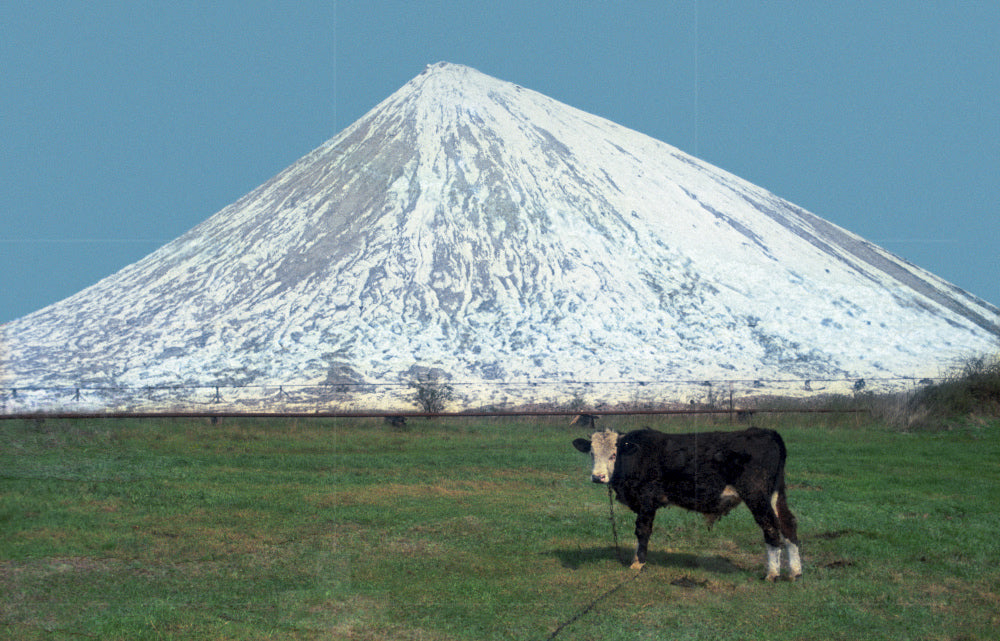 Teutschenthal 1987 (limited art edition)